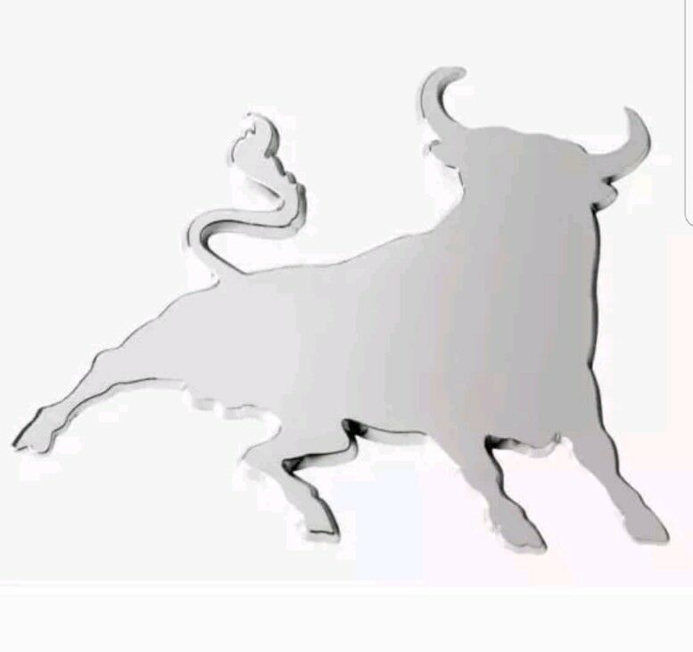 Bull Big
